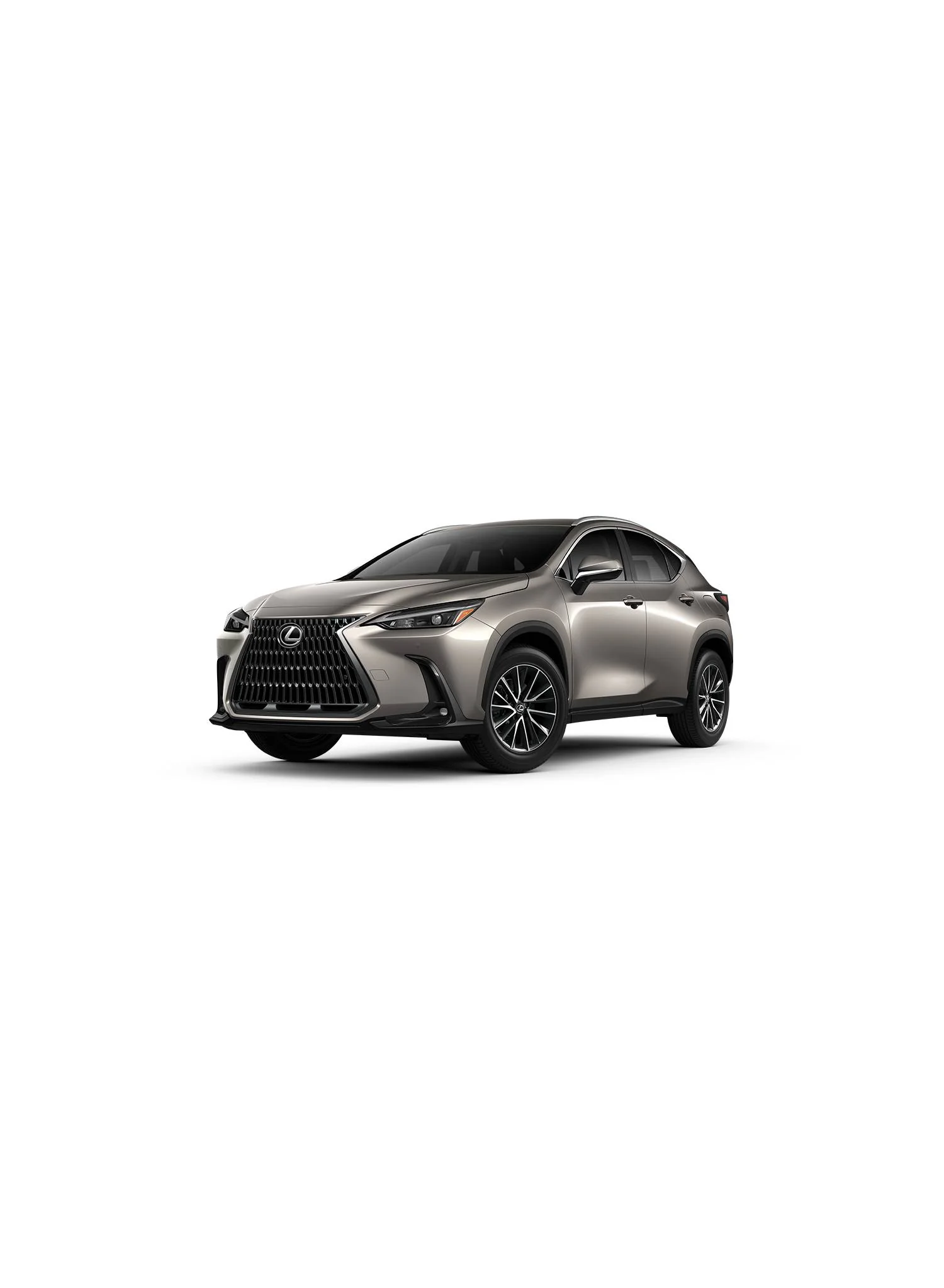 Lexus NX 250 AWD view 1